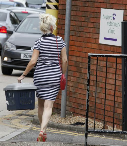 Debbie Mcgee Leaves A Veterinary Clinic In London 5
