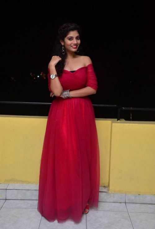 Actress Bindu at Manasantha Nuvve Movie Platinum Disc Function