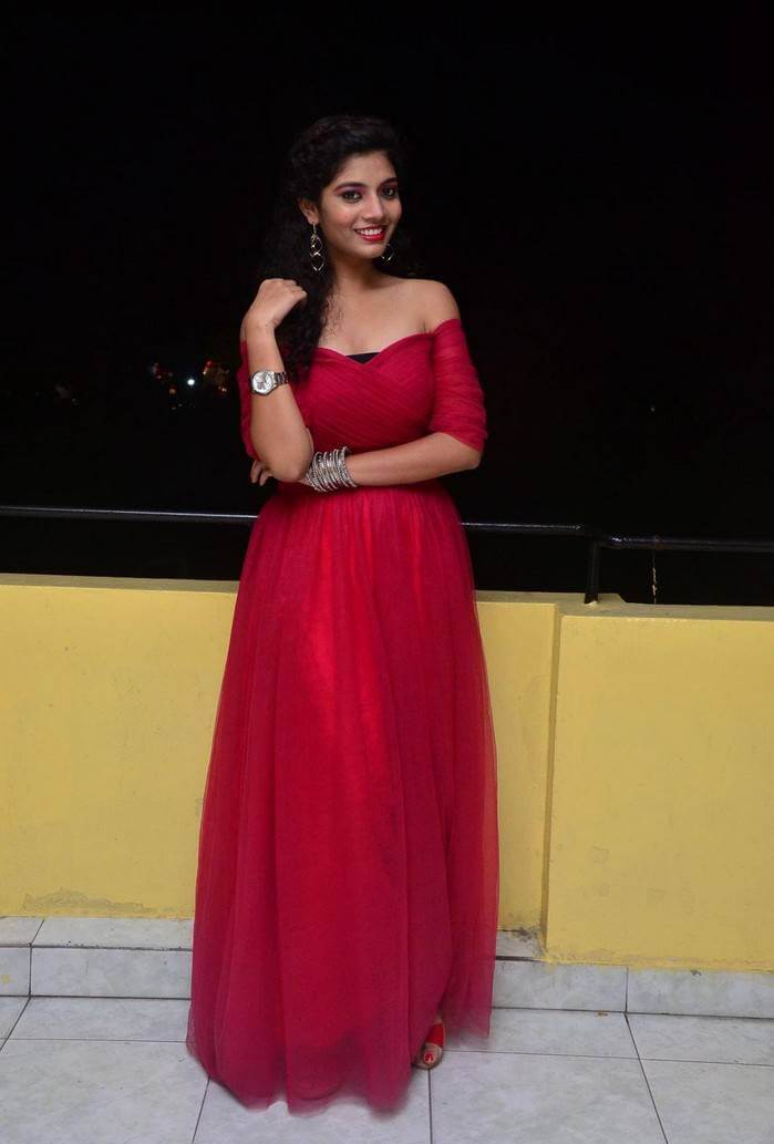 Actress Bindu at Manasantha Nuvve Movie Platinum Disc Function 1