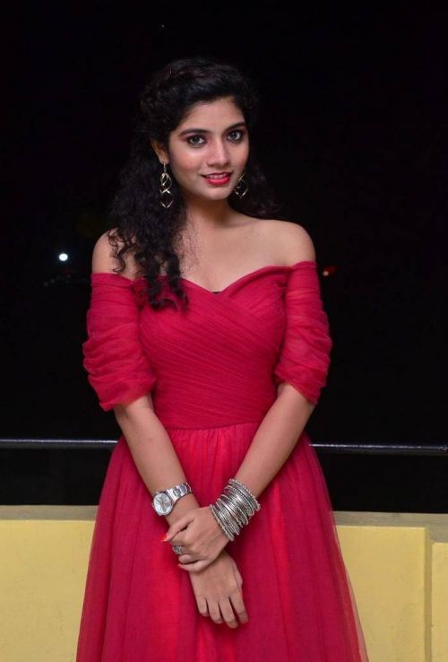 Actress Bindu at Manasantha Nuvve Movie Platinum Disc Function 1