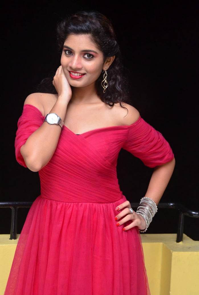 Actress Bindu at Manasantha Nuvve Movie Platinum Disc Function 5