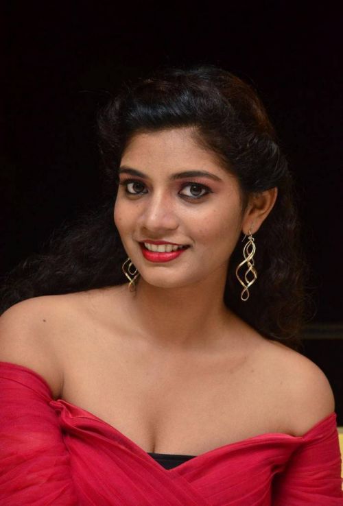 Actress Bindu at Manasantha Nuvve Movie Platinum Disc Function 3