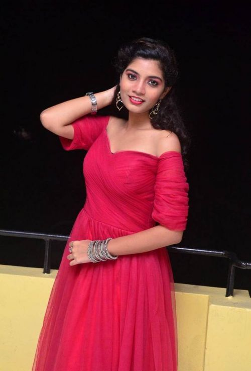 Actress Bindu at Manasantha Nuvve Movie Platinum Disc Function