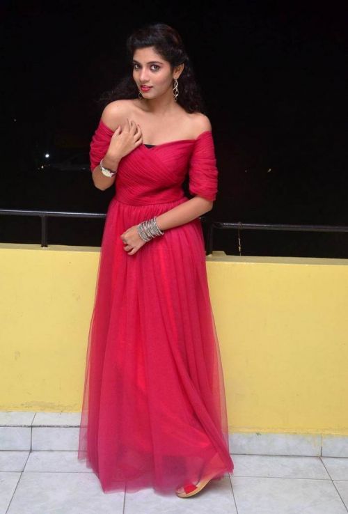 Actress Bindu at Manasantha Nuvve Movie Platinum Disc Function 5