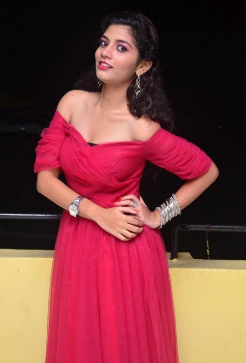 Actress Bindu at Manasantha Nuvve Movie Platinum Disc Function 7