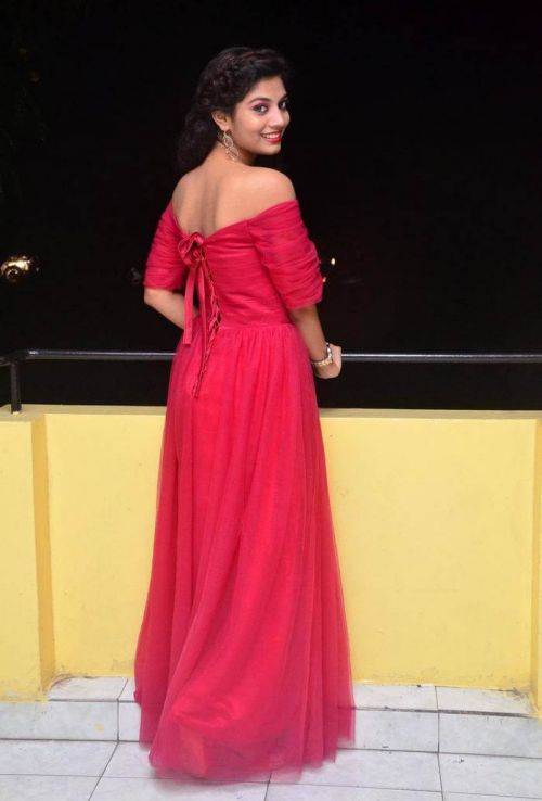 Actress Bindu at Manasantha Nuvve Movie Platinum Disc Function 10