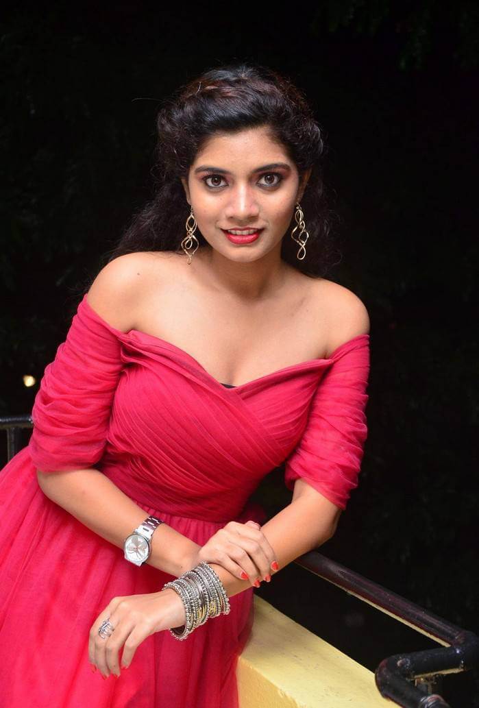 Actress Bindu at Manasantha Nuvve Movie Platinum Disc Function 9