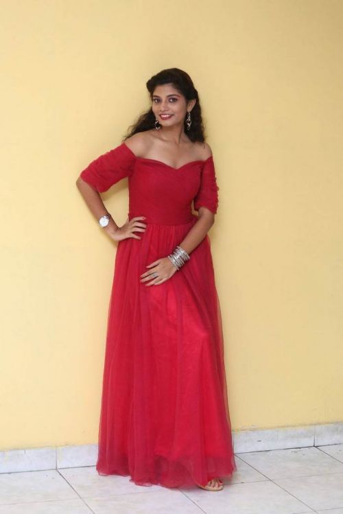 Actress Bindu at Manasantha Nuvve Movie Platinum Disc Function
