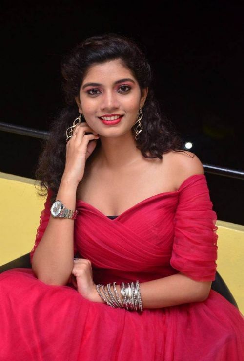 Actress Bindu at Manasantha Nuvve Movie Platinum Disc Function 15