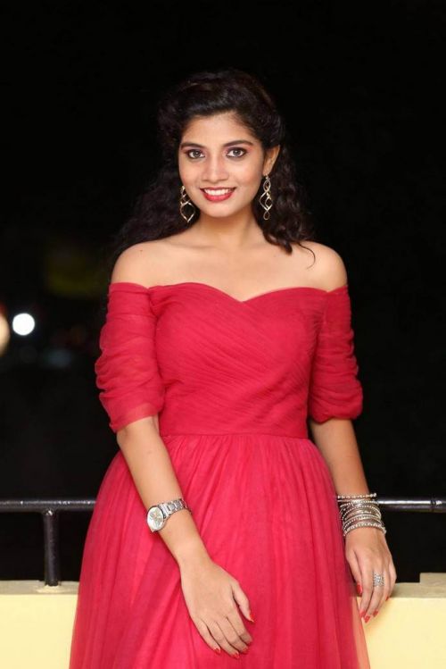 Actress Bindu at Manasantha Nuvve Movie Platinum Disc Function 20