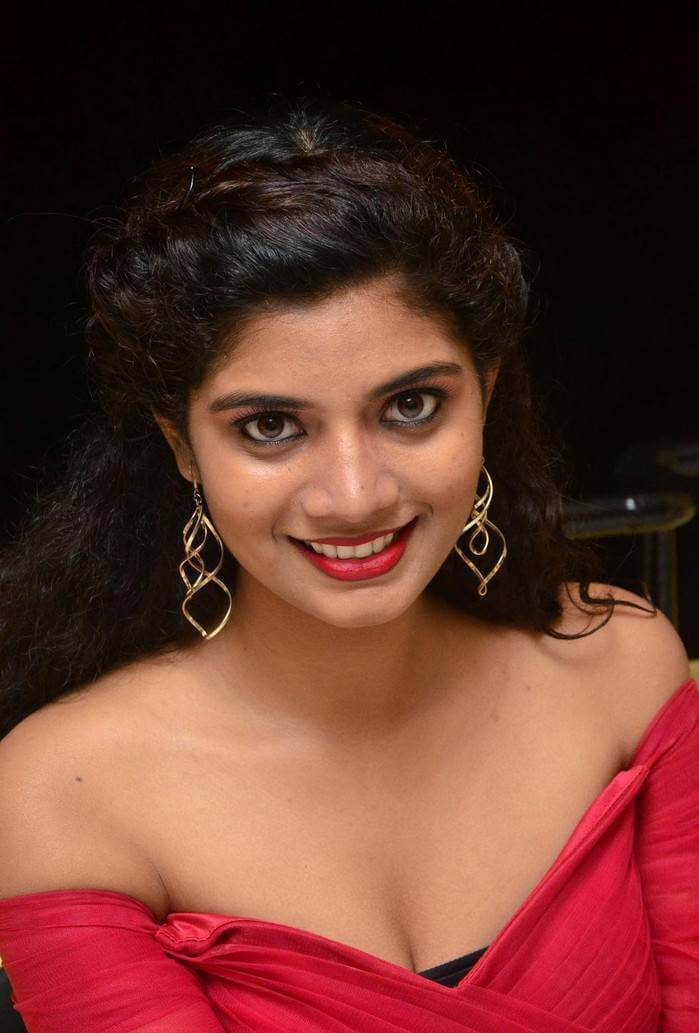 Actress Bindu at Manasantha Nuvve Movie Platinum Disc Function 16