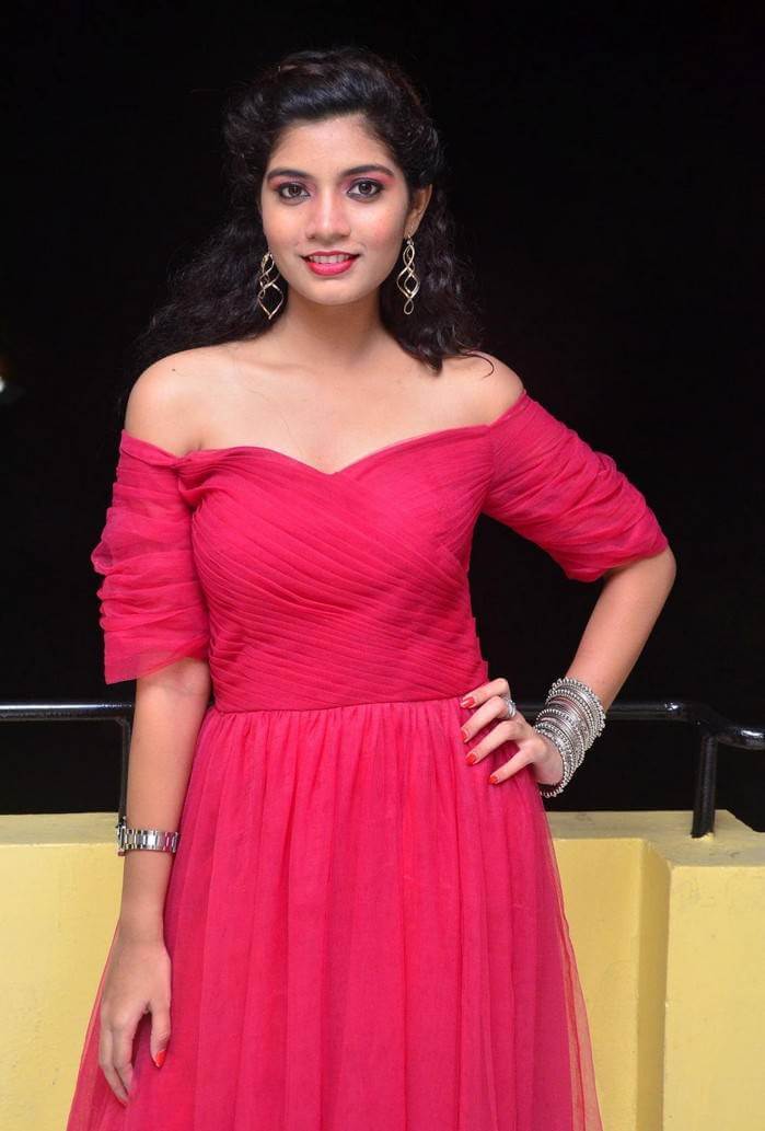 Actress Bindu at Manasantha Nuvve Movie Platinum Disc Function 4