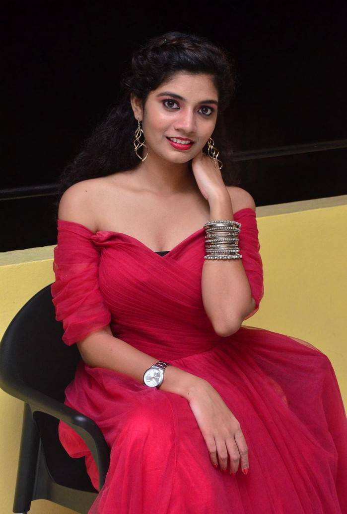 Actress Bindu at Manasantha Nuvve Movie Platinum Disc Function 20
