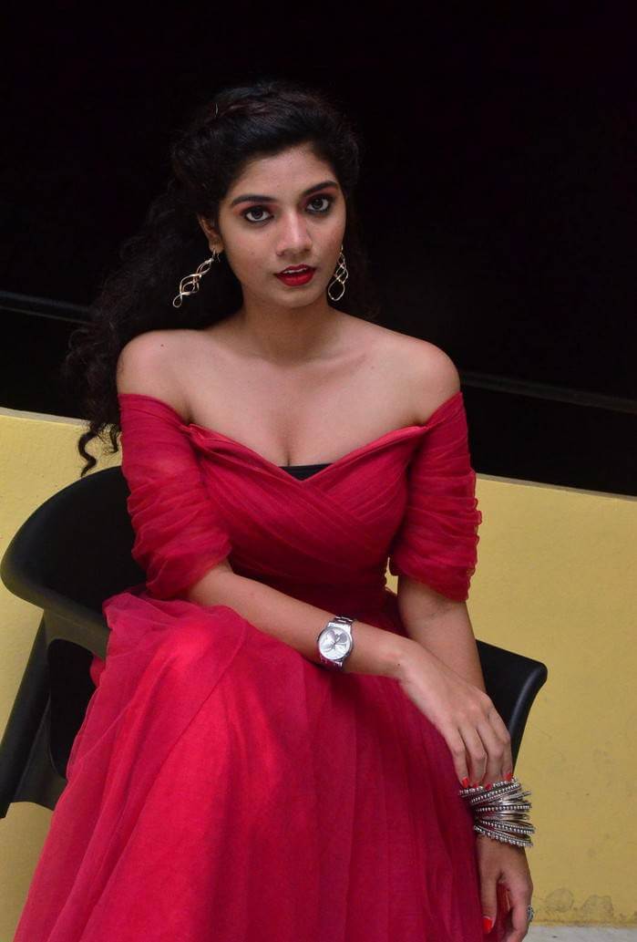 Actress Bindu at Manasantha Nuvve Movie Platinum Disc Function 22