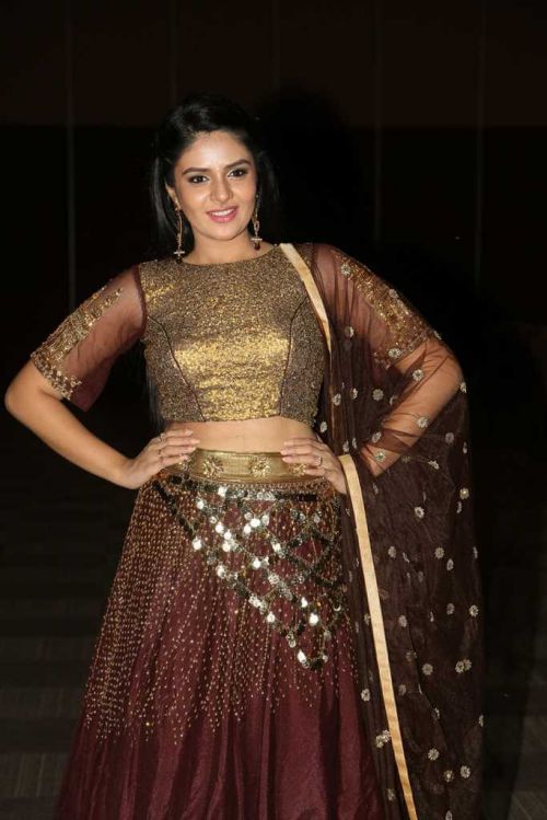Anchor Srimukhi at Araku Road Lo Audio Launch Photos 4