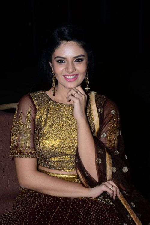 Anchor Srimukhi at Araku Road Lo Audio Launch Photos 10