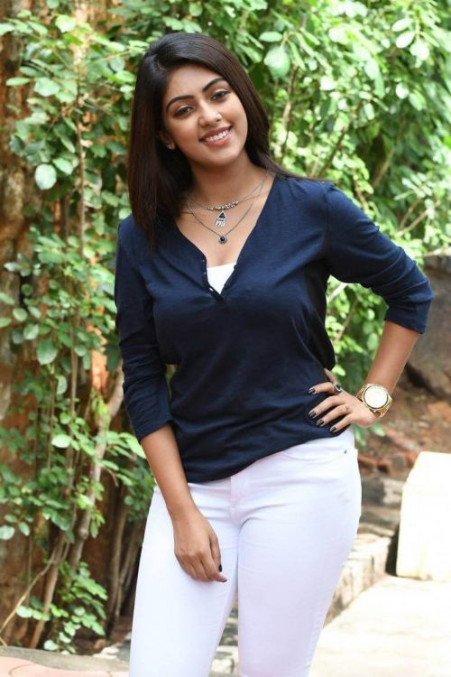 Anu Emmanuel at Majnu Movie Interview Images 5