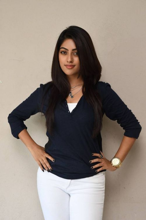 Anu Emmanuel at Majnu Movie Interview Images 6