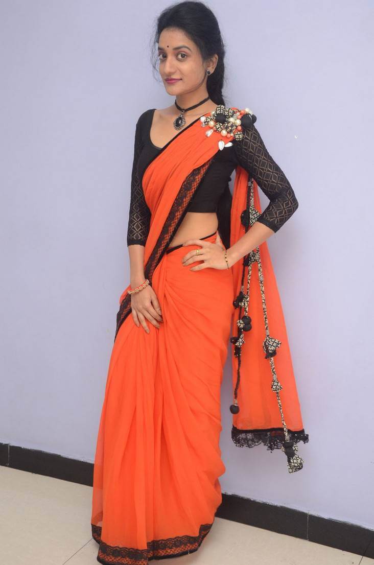 Janani at Lakshmi Devi Samarpinchu Nede Chudandi Platinum Disc Function