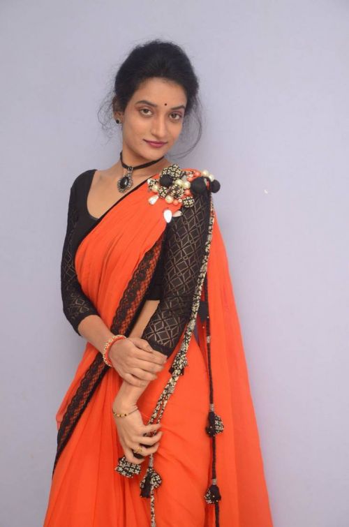 Janani at Lakshmi Devi Samarpinchu Nede Chudandi Platinum Disc Function 1