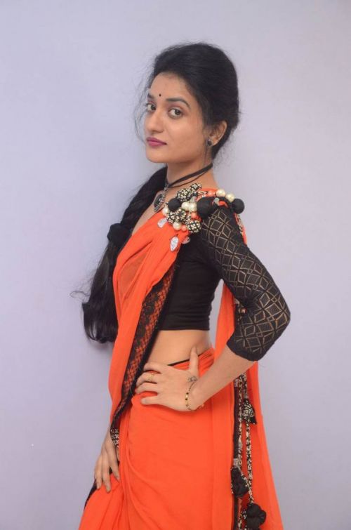 Janani at Lakshmi Devi Samarpinchu Nede Chudandi Platinum Disc Function 2