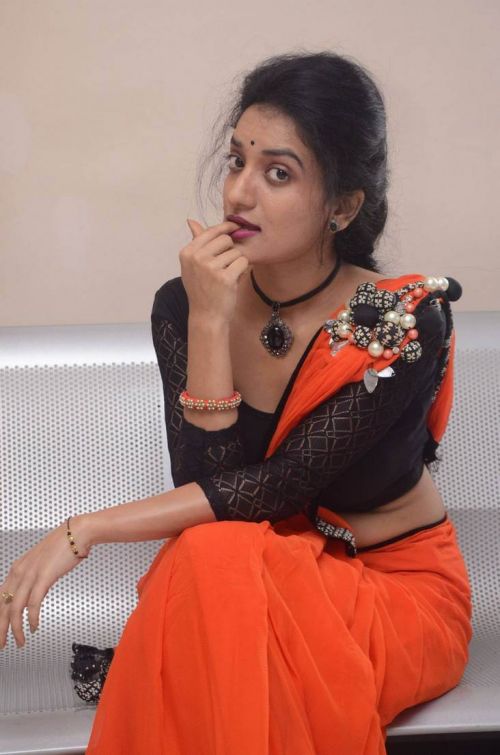 Janani at Lakshmi Devi Samarpinchu Nede Chudandi Platinum Disc Function 4