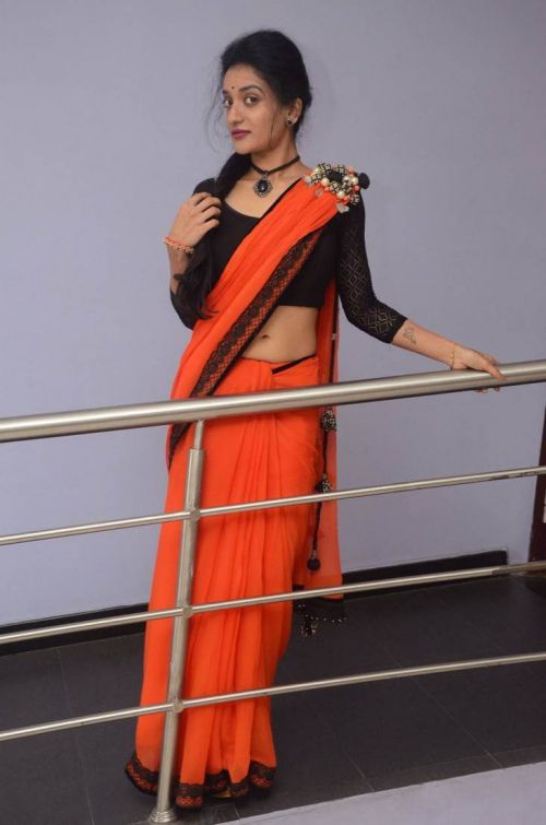 Janani at Lakshmi Devi Samarpinchu Nede Chudandi Platinum Disc Function 5
