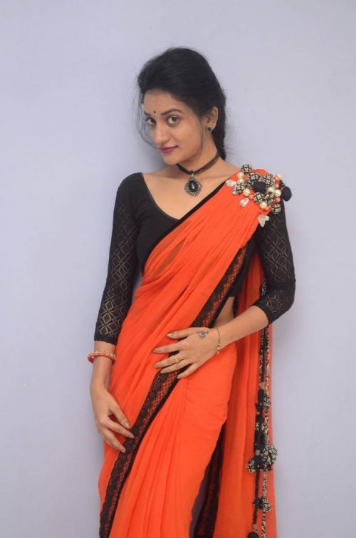Janani at Lakshmi Devi Samarpinchu Nede Chudandi Platinum Disc Function 6