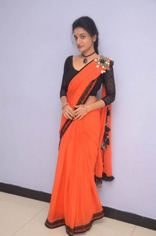 Janani at Lakshmi Devi Samarpinchu Nede Chudandi Platinum Disc Function 11