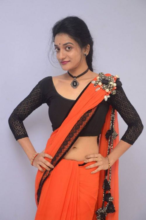Janani at Lakshmi Devi Samarpinchu Nede Chudandi Platinum Disc Function 12