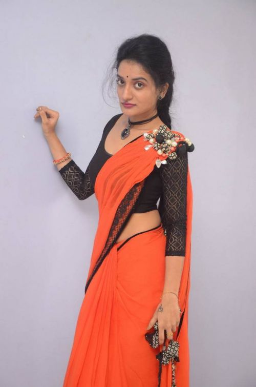 Janani at Lakshmi Devi Samarpinchu Nede Chudandi Platinum Disc Function 14