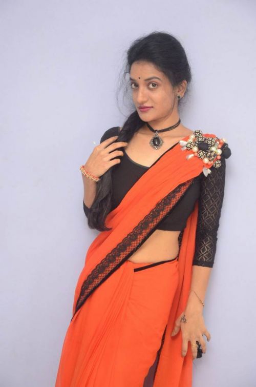 Janani at Lakshmi Devi Samarpinchu Nede Chudandi Platinum Disc Function 17