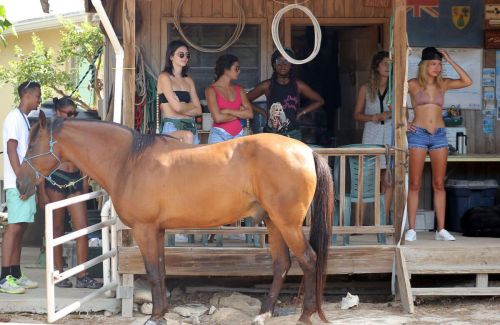 Kendall Jenner at Horseback Riding at a Beach in Turks - 15/09/2016 3
