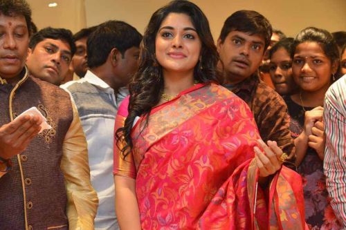 Niveda Thomas at Kalamandir 25 Store Launch Photos 3