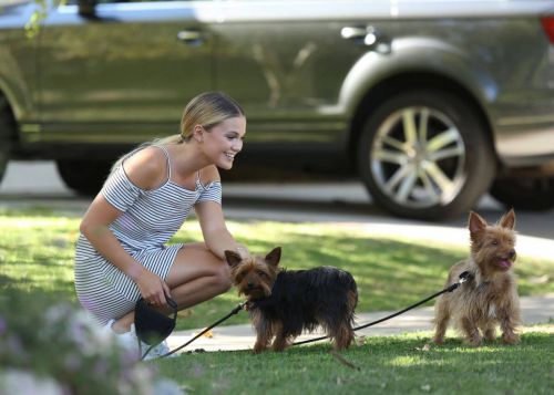 Olivia Holt Walking Her Dogs in Los Angeles 5