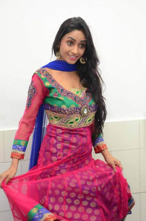 Pooja Sri at Cottage Craft Mela 2016 Launch Photos 2
