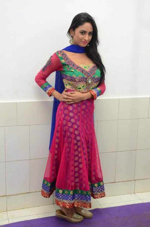 Pooja Sri at Cottage Craft Mela 2016 Launch Photos 3