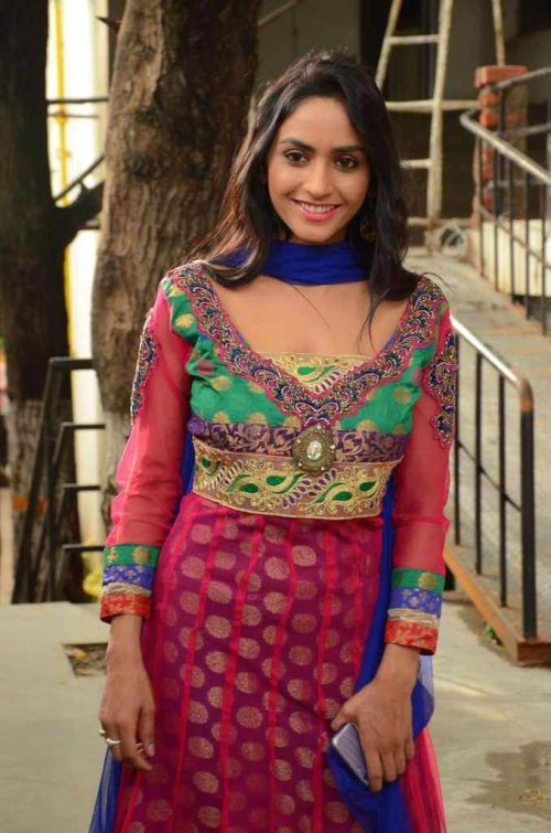 Pooja Sri at Cottage Craft Mela 2016 Launch Photos 6