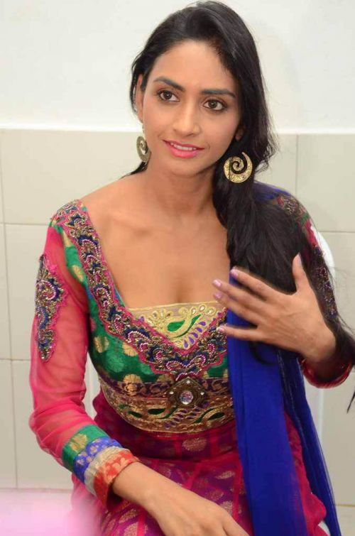 Pooja Sri at Cottage Craft Mela 2016 Launch Photos 7