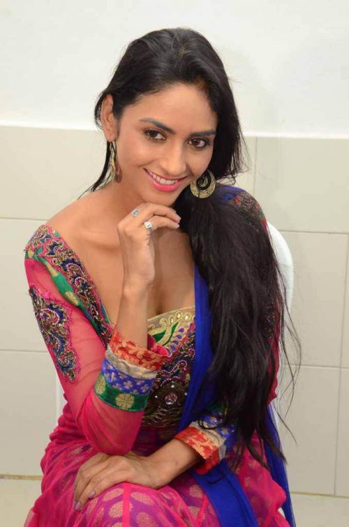 Pooja Sri at Cottage Craft Mela 2016 Launch Photos 8