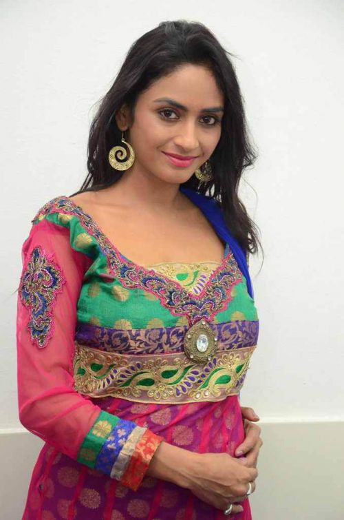 Pooja Sri at Cottage Craft Mela 2016 Launch Photos 10