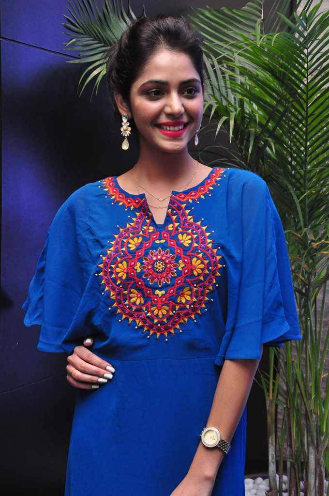 Priyanka Bhardwaj at Western Exotica Project Broucher Launch Photos