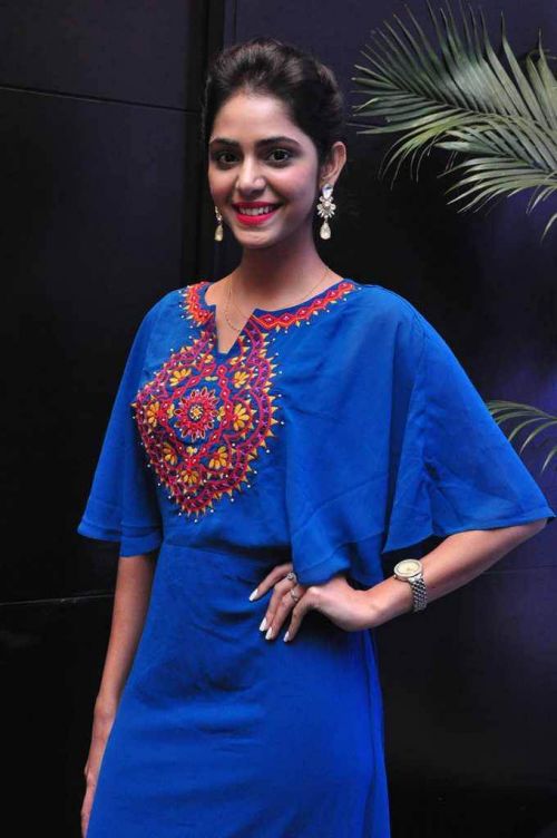 Priyanka Bhardwaj at Western Exotica Project Broucher Launch Photos 2