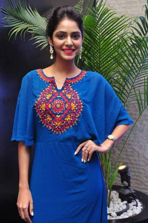 Priyanka Bhardwaj at Western Exotica Project Broucher Launch Photos 3