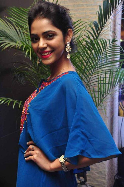 Priyanka Bhardwaj at Western Exotica Project Broucher Launch Photos 5