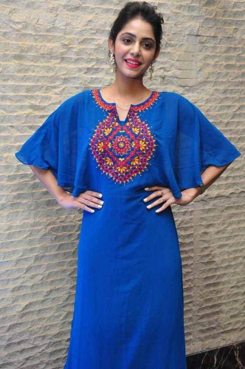 Priyanka Bhardwaj at Western Exotica Project Broucher Launch Photos 6