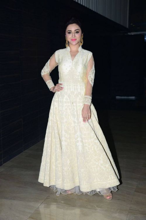 Ragini Nandwani at Siddhartha Movie Audio Launch Photos 8