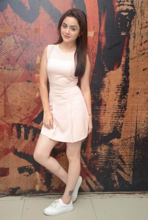 Ragini Nandwani at Siddhartha Movie Success Meet Photos 18