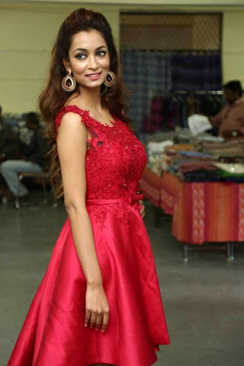 Rashmi Thakur at Pochampally Ikat Art Mela Photos 1