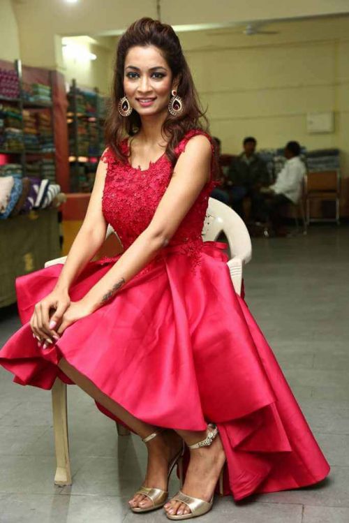 Rashmi Thakur at Pochampally Ikat Art Mela Photos 10